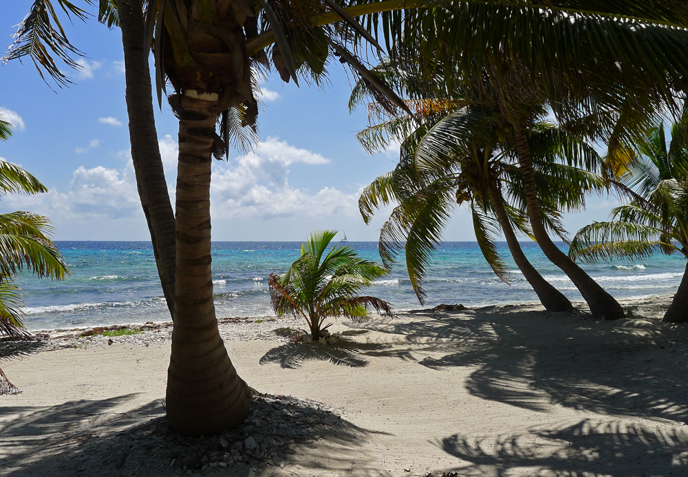 Laughing Bird Caye